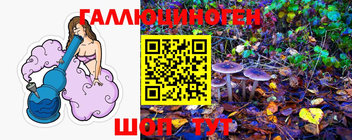 Галлюциногенные грибы Cubensis  Вход с VPN  Богородск 