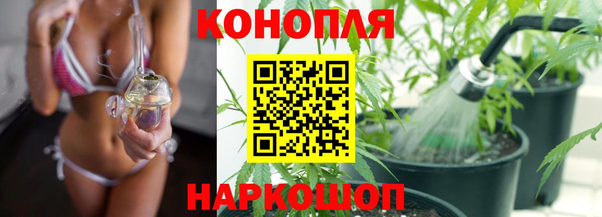 Канабис гибрид Богородск